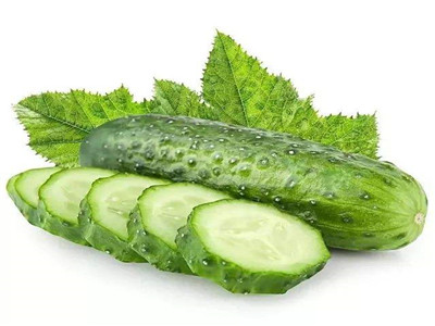 佛山蔬菜批發