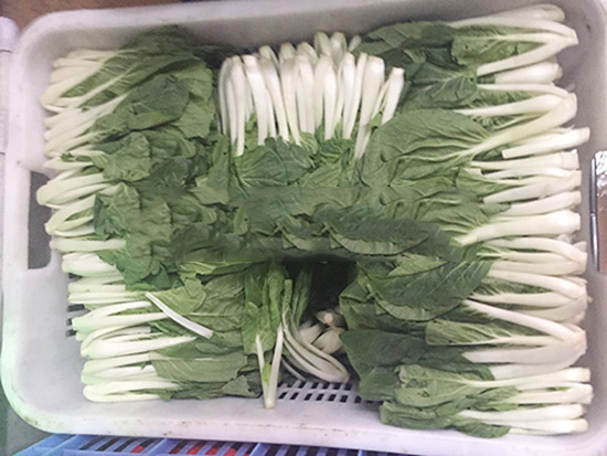 佛山農產品批發