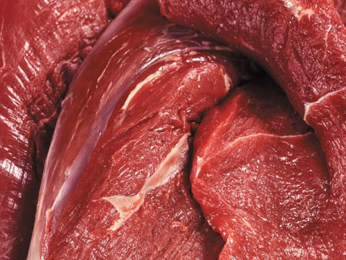 佛山肉類批發