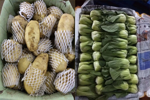 順德農產品批發