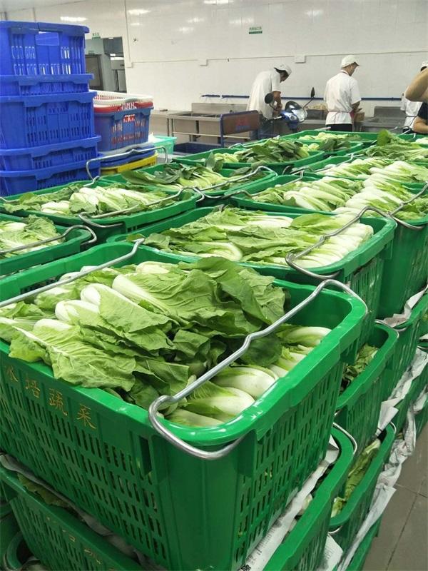 蔬菜配送企業
